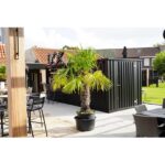 Contenedor Bar Desmontable 6×2 Metros - Imagen 3